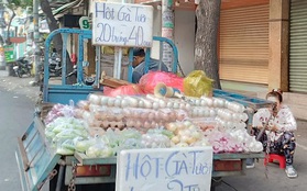 TP.HCM: Trứng gà giá rẻ đổ ra đường
