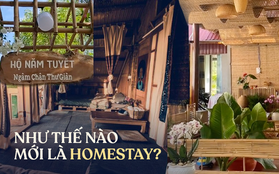 Câu chuyện homestay đầu tiên tại ấp Thiềng Liềng, Cần Giờ: Liệu nhiều người có đang hiểu sai về hình thức lưu trú đặc biệt này?