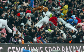 "Mưa" thú nhồi bông trong trận đấu bóng đá Thổ Nhĩ Kỳ