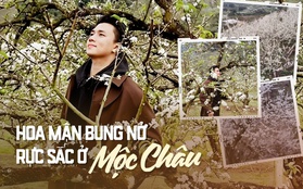 Mộc Châu trở thành điểm siêu hot dịp đầu xuân với những cây hoa mận phủ trắng núi đồi