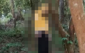 Lạng Sơn: Người đàn ông tử vong trong tư thế treo cổ trên cành cây