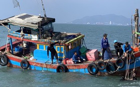 TP.HCM: Chìm tàu cá, 7 ngư dân bị rơi xuống biển