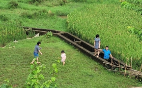 Nửa năm rời phố về làng sống như một giấc mơ của gia đình nhỏ, nơi những đứa trẻ mê tít chẳng muốn về