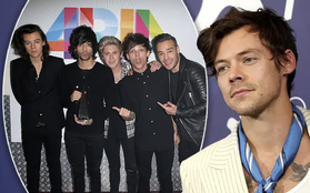 Harry Styles bàn về khả năng One Direction tái hợp