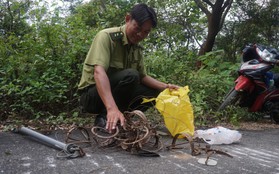 Gỡ bỏ hàng trăm bẫy thú nguy hiểm tại bán đảo Sơn Trà
