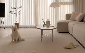 7 món nội thất dành cho phòng khách có phong cách tối giản