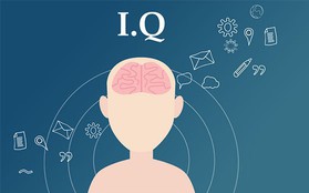 10 người có IQ cao nhất thế giới là ai? Nhà bác học Albert Einstein chỉ xếp thứ 8, vị trí thứ 3 được mệnh danh là "người ngoài hành tinh"