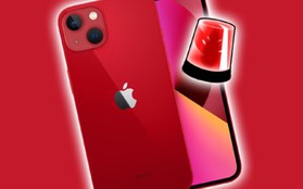 Cách kiểm tra iPhone cũ trước khi mua nhanh chóng và dễ dàng