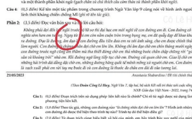 Xôn xao đề thi Văn có ngôn từ nhạy cảm: Trường Lương Thế Vinh nói gì?