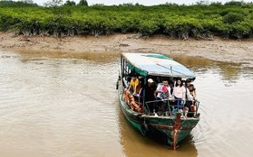 Tạm dừng tham quan Vườn Quốc gia Xuân Thủy sau vụ phụ huynh và học sinh tử vong