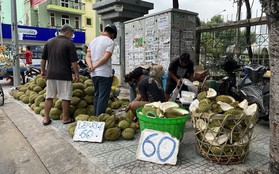 Sầu riêng "hàng dạt" giá rẻ đổ bộ vỉa hè TPHCM