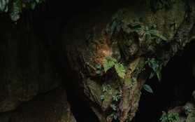 Khám phá hang Bó Mỳ - điểm đến ít biết ở Hà Giang