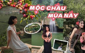 Đi Mộc Châu mùa này đâu chỉ có hái mận mà còn có loạt tọa độ thích mê để “đưa nhau đi trốn nóng”