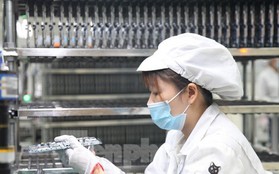 Doanh nghiệp ở Bắc Giang dự kiến tuyển hơn 20.000 lao động