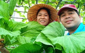 Khu vườn sân thượng 70m2 trĩu nặng rau quả từ căn nhà phố ở Bình Thuận