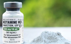 Tạm đình chỉ một phi công dương tính với ketamine