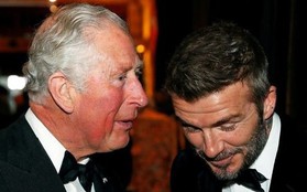 Beckham bị chế giễu với bài viết chúc mừng Vua Charles