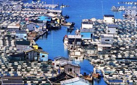 "Ngôi làng trên biển" ở Trung Quốc: Nhà cửa nổi lênh đênh, cuộc sống tiện nghi không thua trên đất liền