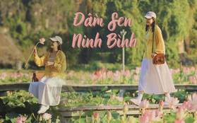 Đi Ninh Bình ngắm mùa sen nở rộ đẹp mê ly với chi phí chỉ khoảng 1 triệu đồng