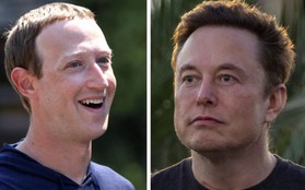 Elon Musk thách đấu Mark Zuckerberg, UFC dự báo doanh thu kỷ lục