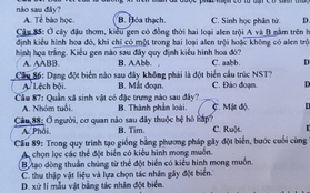 Đề thi Sinh học kỳ thi tốt nghiệp THPT 2023