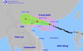 Bão số 1 di chuyển nhanh, áp sát Móng Cái (Quảng Ninh)