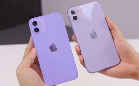 Mẫu iPhone giảm kỷ lục 12 triệu đồng, tiếp tục "phá đáy" tại Việt Nam kể từ khi ra mắt