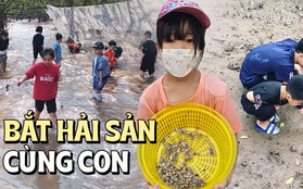 Những bãi biển có thể cào ngao, bắt hải sản thỏa thích không phải gia đình nào cũng biết