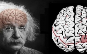 Nghiên cứu thói quen của 16 thiên tài tiết lộ 2 điểm chung của những bộ não xuất chúng: Ngủ đủ giấc cực quan trọng