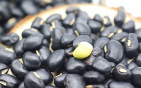 Loại hạt giá rẻ được ví như "sâm đen" của mùa hè, bổ thận dưỡng nhan rất tốt