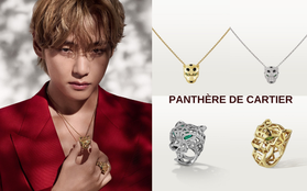 Website của Cartier gặp sự cố sau khi V (BTS) thành đại sứ thương hiệu