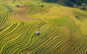 Sapa, Bà Nà, Đà Lạt được báo chí quốc tế vinh danh