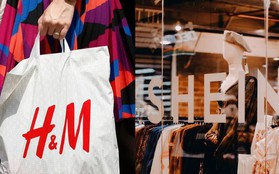 H&M kiện Shein vì "đạo nhái thiết kế"