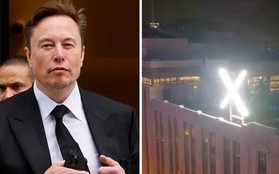 Nhiều người bị mất ngủ vì "tác dụng phụ" của việc Elon Musk đổi tên Twitter thành X