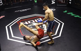 Trần Ngọc Lượng đánh bại đệ tử Johnny Trí Nguyễn trên sàn MMA Lion Championship 07