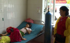 11 cháu bé ở Hà Giang bị ngộ độc do ăn quả hồng châu