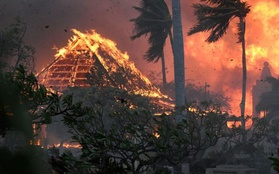 Sự thật bất ngờ về thảm họa cháy rừng ở Hawaii