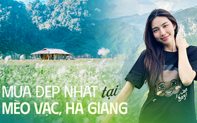 Khám phá Mèo Vạc, Hà Giang vào mùa đẹp nhất trong năm, đến Hoa hậu Thùy Tiên và Quang Linh Vlogs phải lặng người vì quá đẹp