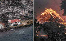 Sống sót giữa bão lửa trong thảm họa cháy rừng tại Hawaii, ngôi nhà trị giá 95 tỷ vẫn nguyên vẹn thần kỳ