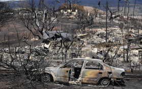 Nhiều khó khăn trong việc xác định danh tính nạn nhân cháy rừng ở Hawaii