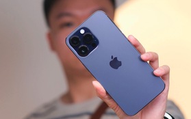 Giá chạm đáy, iPhone 14 Pro Max bất ngờ "cháy hàng" tại Việt Nam