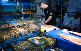 Nhật Bản cho biết không phát hiện cá nhiễm phóng xạ sau khi xả nước thải hạt nhân