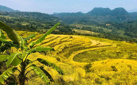 Bắt trọn "thời điểm vàng" tận hưởng và trải nghiệm Pù Luông đẹp nhất trong năm với chi phí chưa tới 2 triệu đồng