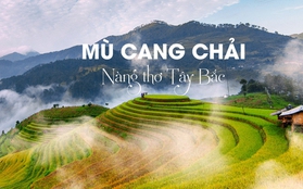 Chi phí du lịch Mù Cang Chải mùa lúa chín trong 3 ngày 2 đêm