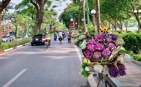 Xe hàng hoa đẹp ngỡ ngàng giữa phố phường Hà Nội