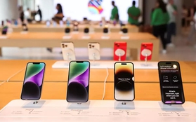 iPhone 15 vừa chốt ngày ra mắt, nhiều người Việt đã muốn đặt mua
