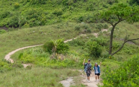 Ngỡ ngàng vẻ đẹp hoang sơ đỉnh Bình Hương, Quảng Ninh