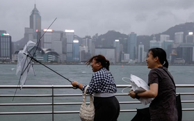 “Nín thở” theo dõi chiếc máy bay duy nhất dám đáp xuống Hồng Kông (Trung Quốc) giữa bão Saola