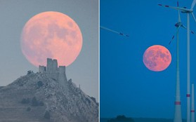 Loạt ảnh ấn tượng về siêu trăng cuối cùng của năm 2023 tỏa sáng đêm Trung thu