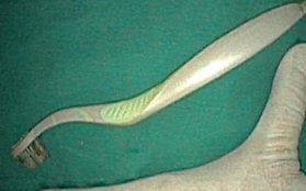 Trượt chân ngã khi đánh răng, chiếc bàn chải dài 20 cm chui vào bụng nữ sinh viên